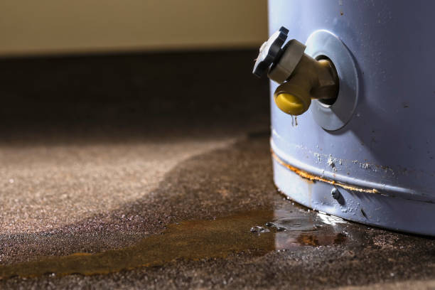 Best Water damage contractors near me  in Germantown Hls, IL