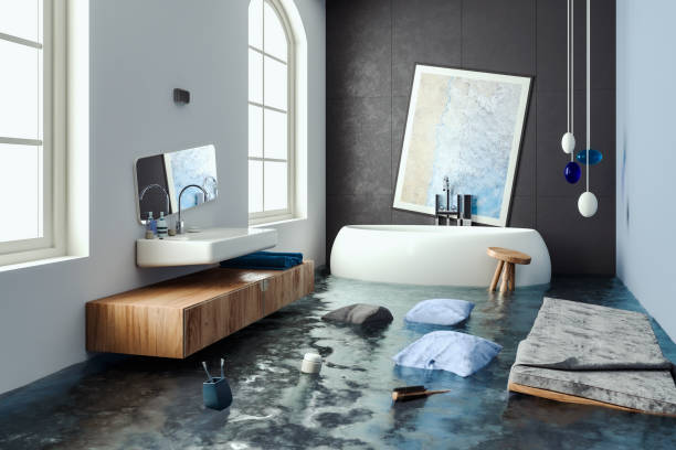 Best 24-hour water damage restoration  in Germantown Hls, IL