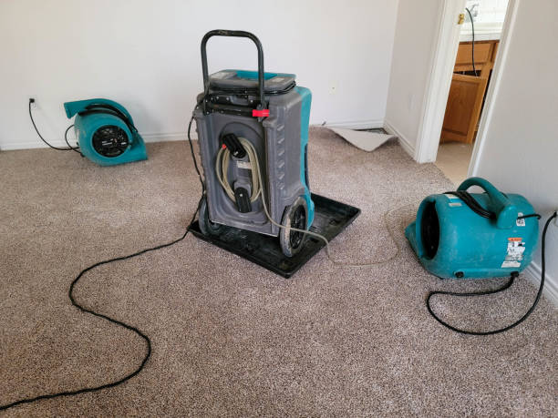 Best Emergency water damage restoration  in Germantown Hls, IL