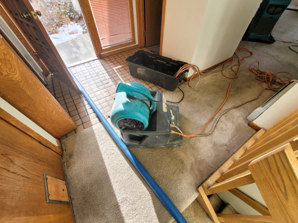Best Water damage restoration company  in Germantown Hls, IL