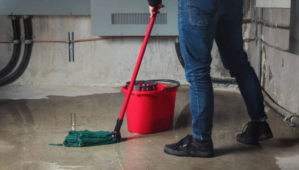 Water damage restoration insurance claims in Germantown Hills, IL