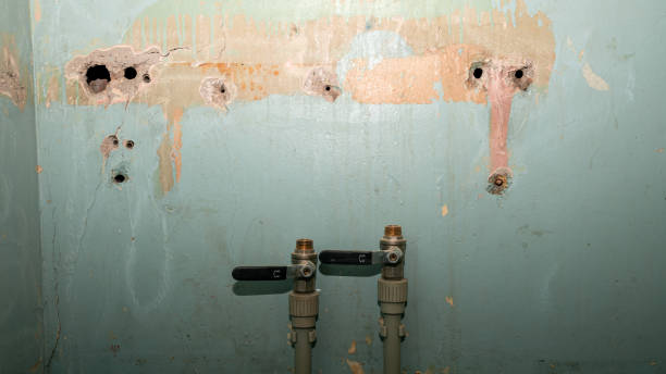 Best Mold removal after water damage  in Germantown Hls, IL