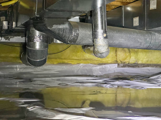 Best Carpet water damage restoration  in Germantown Hls, IL