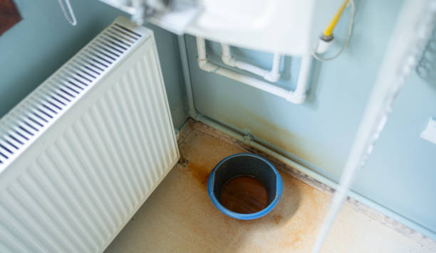 Best Water damage cleanup near me  in Germantown Hls, IL