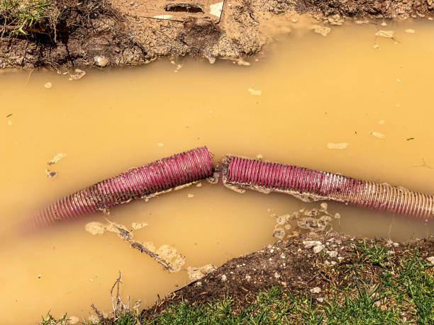 Best Carpet water damage restoration  in Germantown Hls, IL